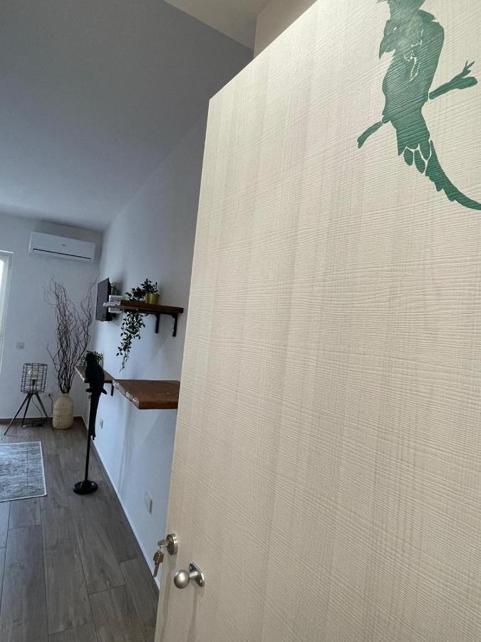 نابولي Urban Jungle Rooms المظهر الخارجي الصورة
